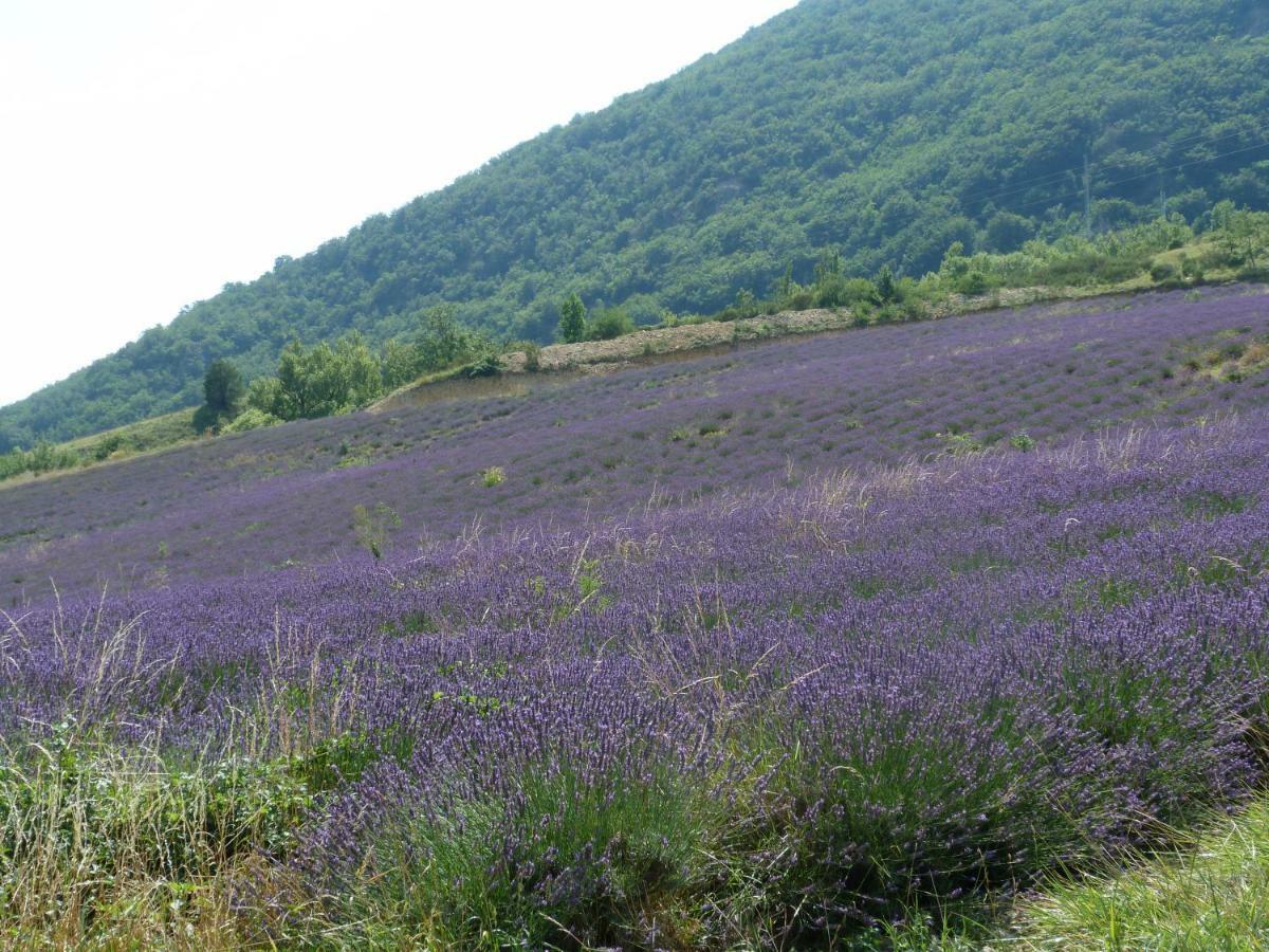 הוילה Pierrelongue La Clairiere מראה חיצוני תמונה